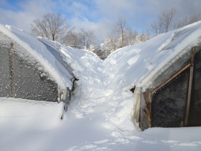 snow tunnels